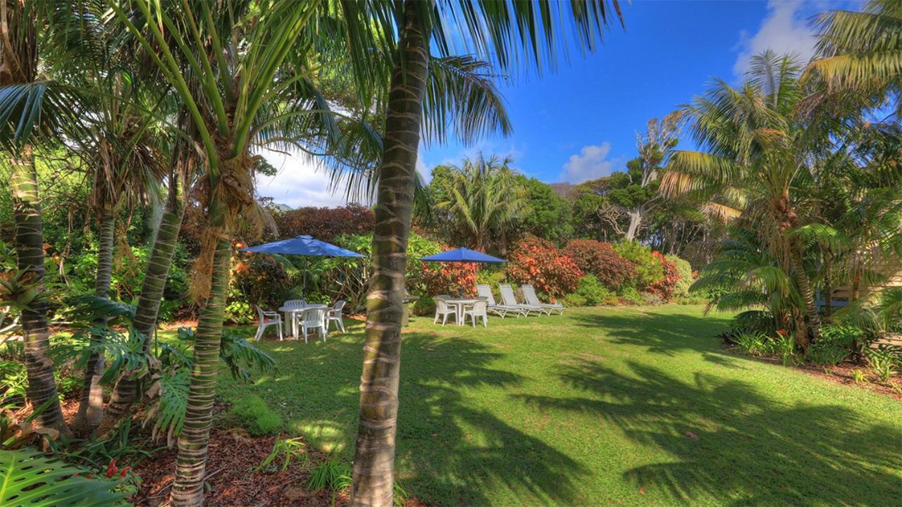The Broken Banyan Apartment Lord Howe Island Luaran gambar
